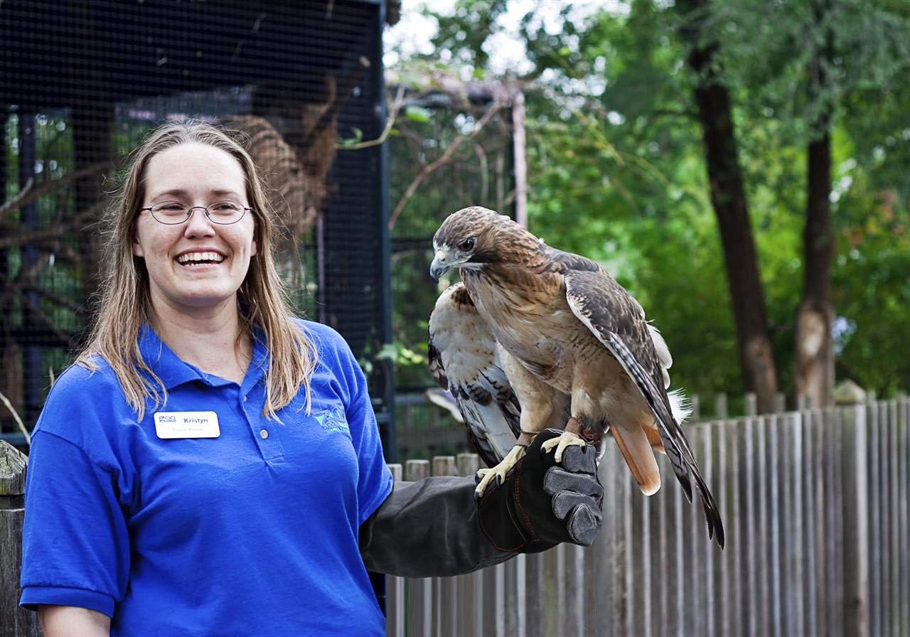 RAPICCA animal handling gloves bite proof