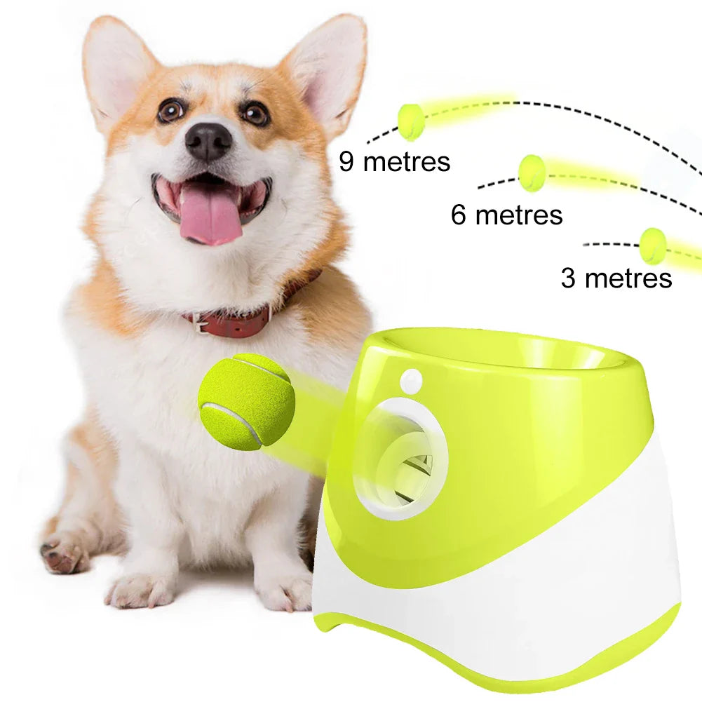 Automatic dog ball launcher for interactive indoor and outdoor fetch