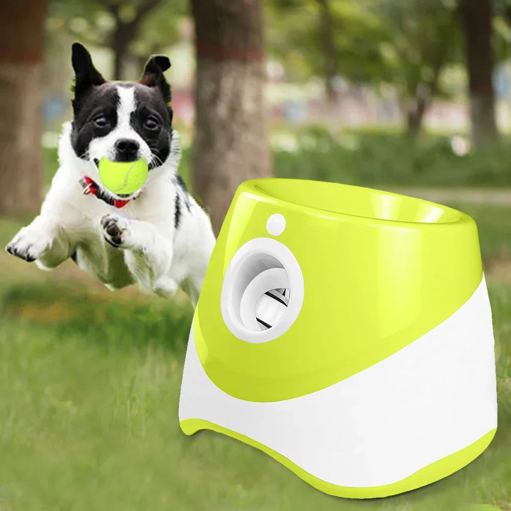 Automatic dog ball launcher for interactive indoor and outdoor fetch