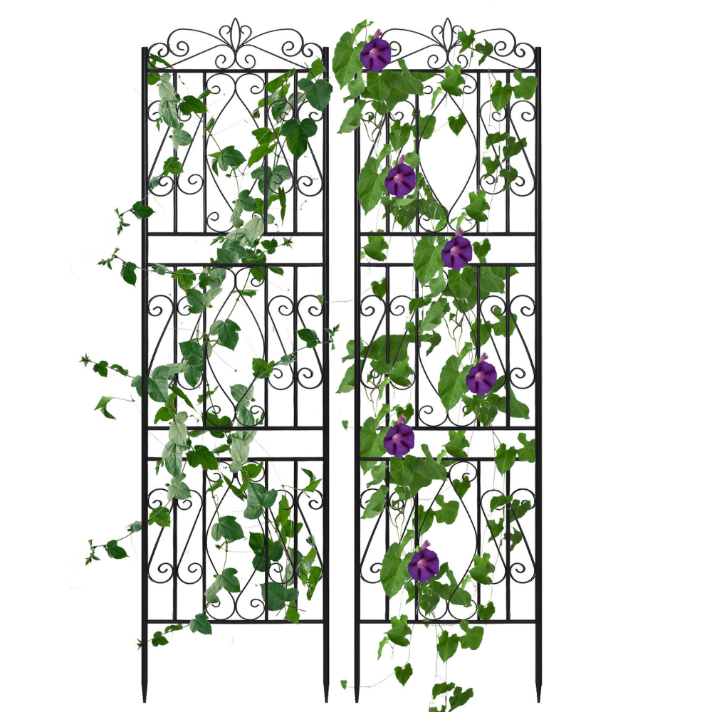 Garden Border Trellis High Metal Climbing Plants Support Trellis