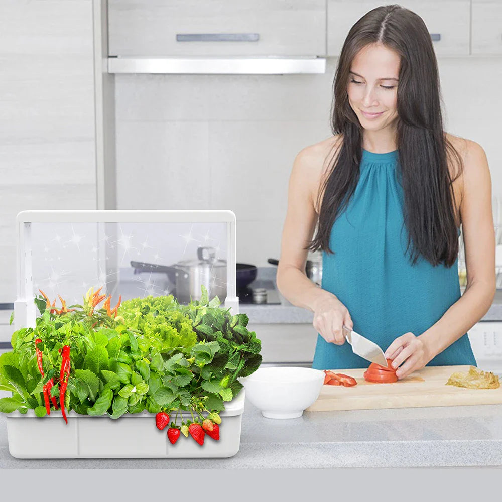 Hydroponics growing system LED indoor garden for efficient indoor plant growth