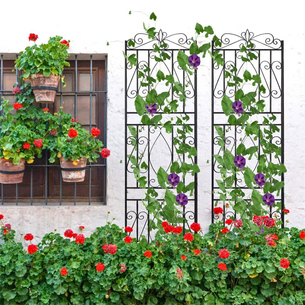 Metal garden trellis for climbing plants and decorative outdoor garden use