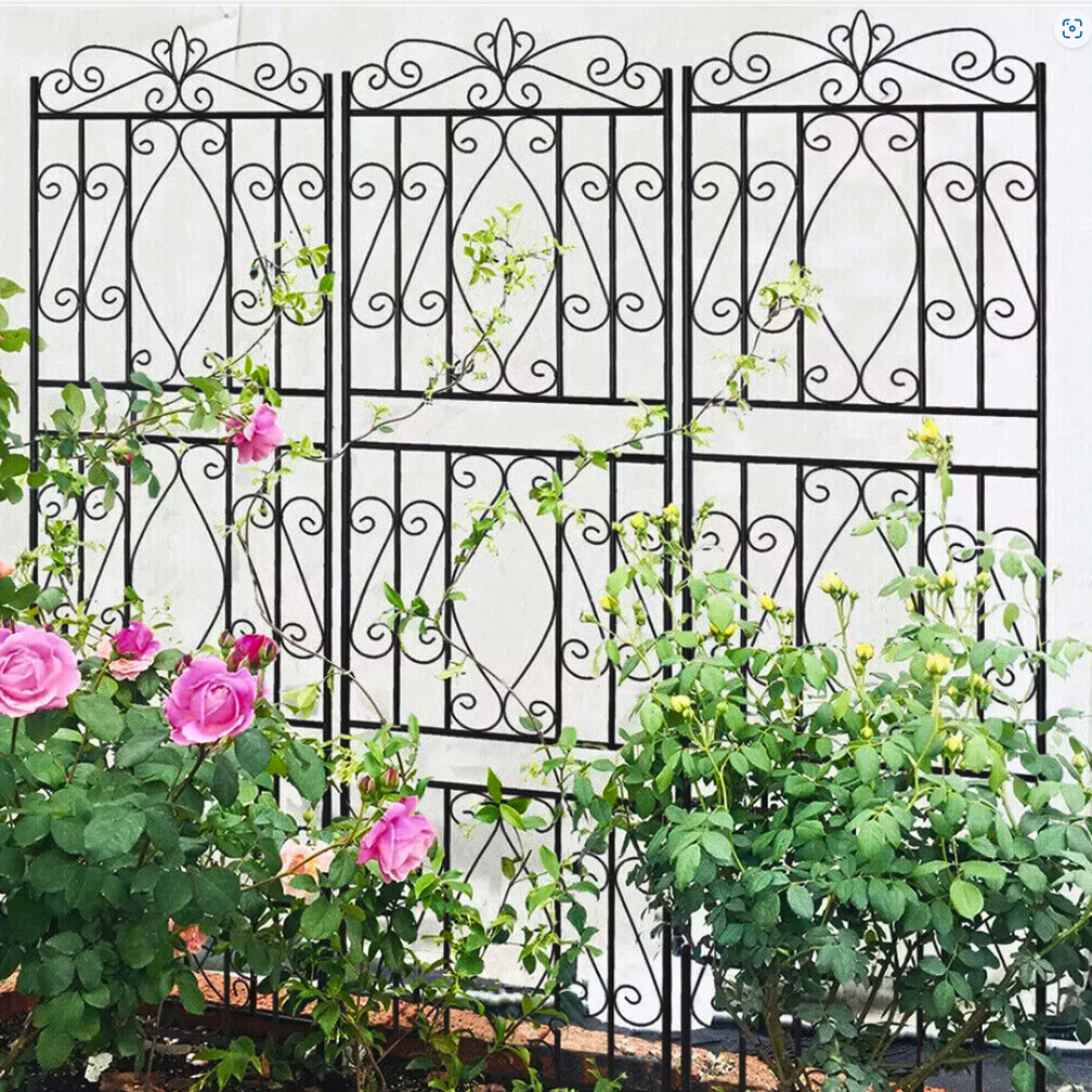 Metal garden trellis for climbing plants and decorative outdoor garden use