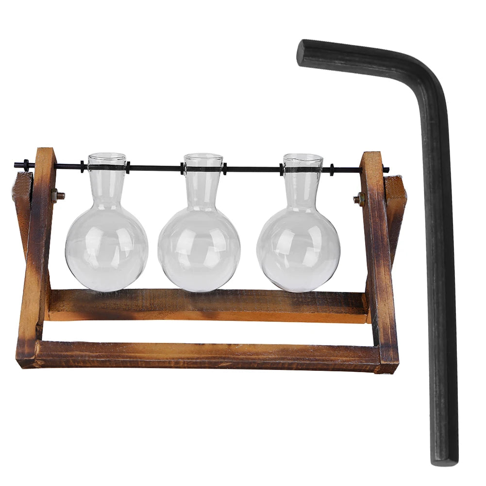 Glass and Wood Vase Planter Table Desktop