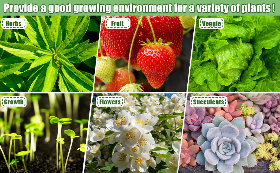 2 Packs, Seed Starter Trays With High Dome Germination Kit - 80 Cells, 4 LED Grow Lights, Smart Timer & 3 Modes For Home Gardene