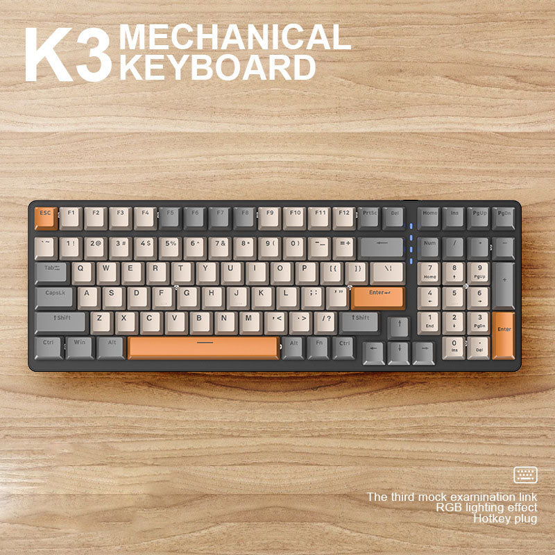100 Key Mechanical Keyboard
