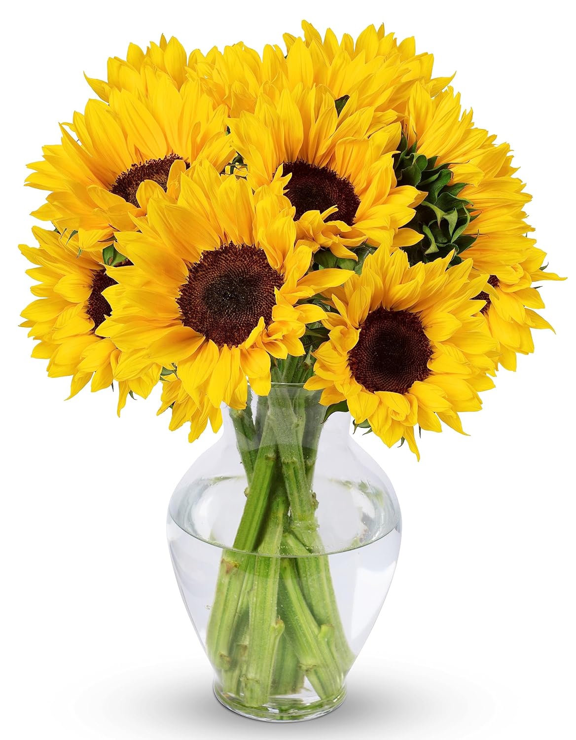 10 Stem Sunflowers with Vase