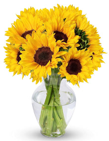 10 Stem Sunflowers with Vase