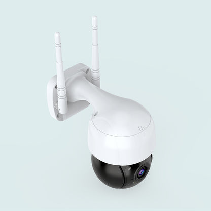 Network dome camera image 2