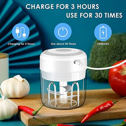 100/250ml Electric Garlic Masher Mini Chopper