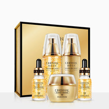 24K gold pet skin care kit for cats and dogs with soothing treatment


