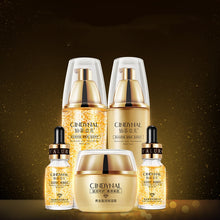 24K gold pet skin care kit for cats and dogs with soothing treatment

