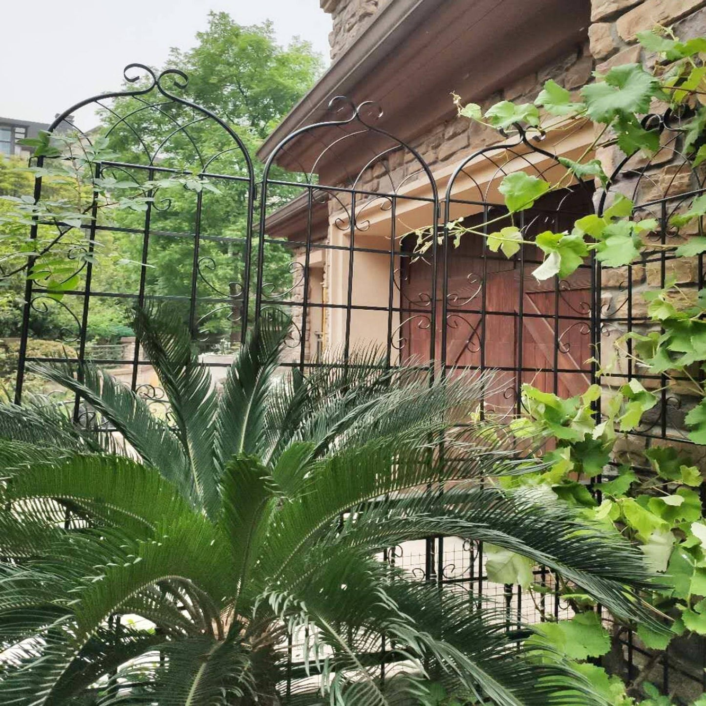 2 Pack Metal Garden Trellis Rustproof 