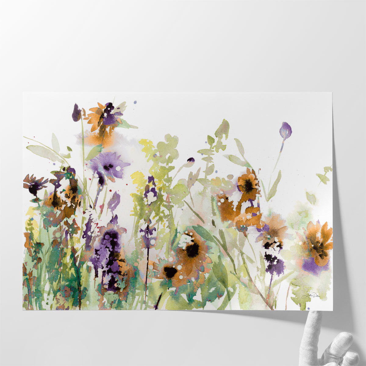 Autumn Meadow Flowers