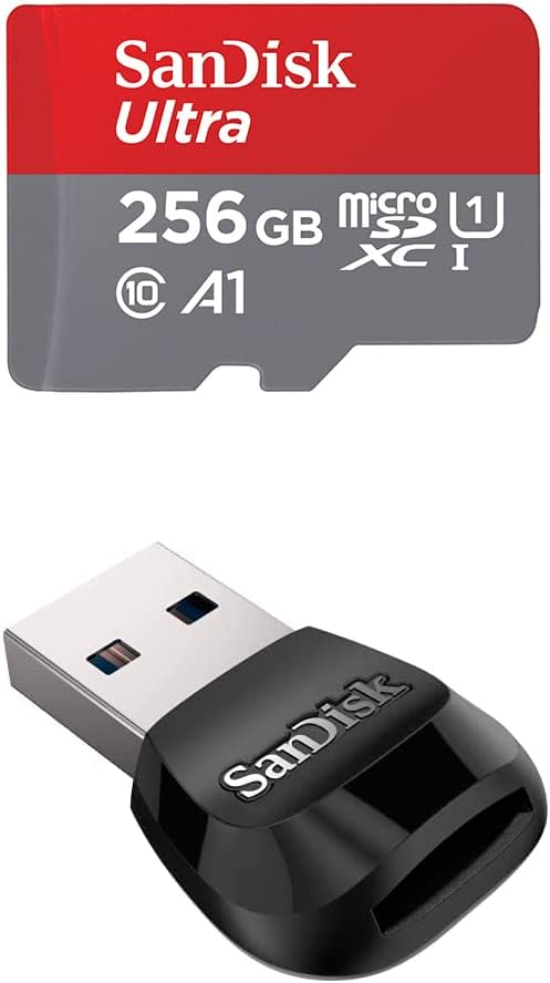 SanDisk 256GB microSD