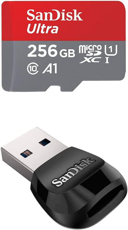 SanDisk 256GB microSD