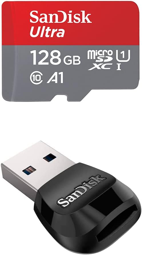 SanDisk 256GB microSD