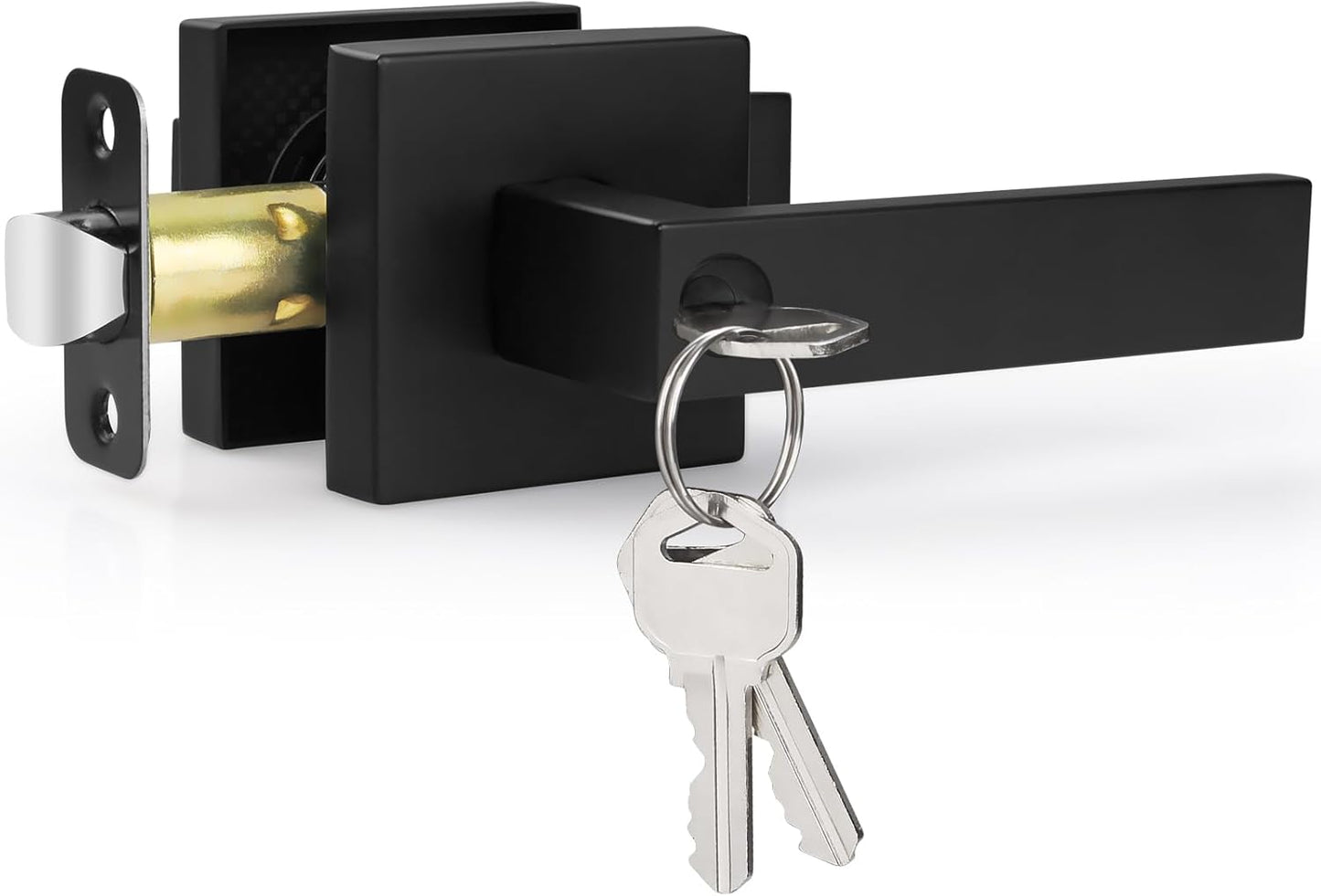 Door Handles