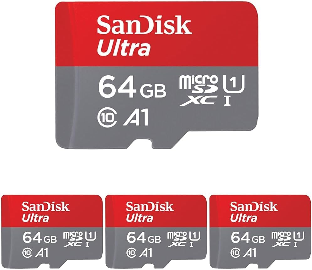 SanDisk 256GB microSD