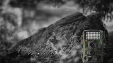 Outdoor hunting camera with night photography support
