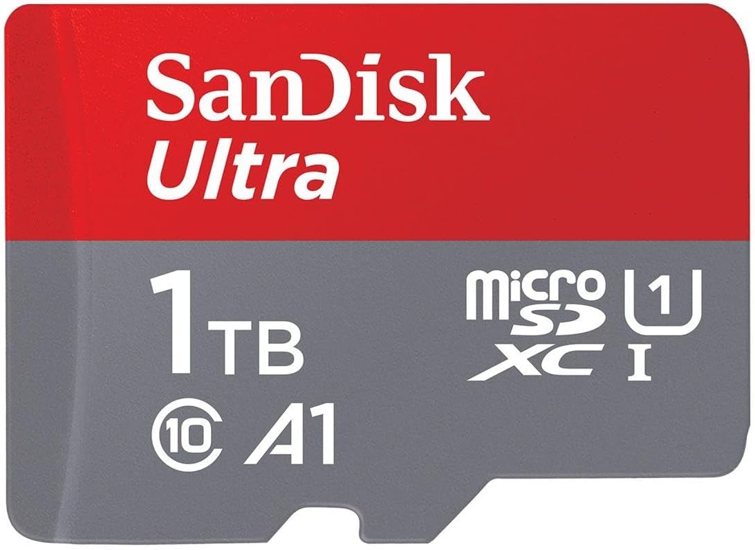 SanDisk 256GB microSD