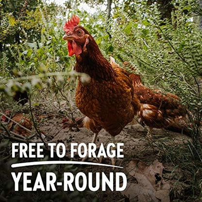 Vital Farms 18 Eggs