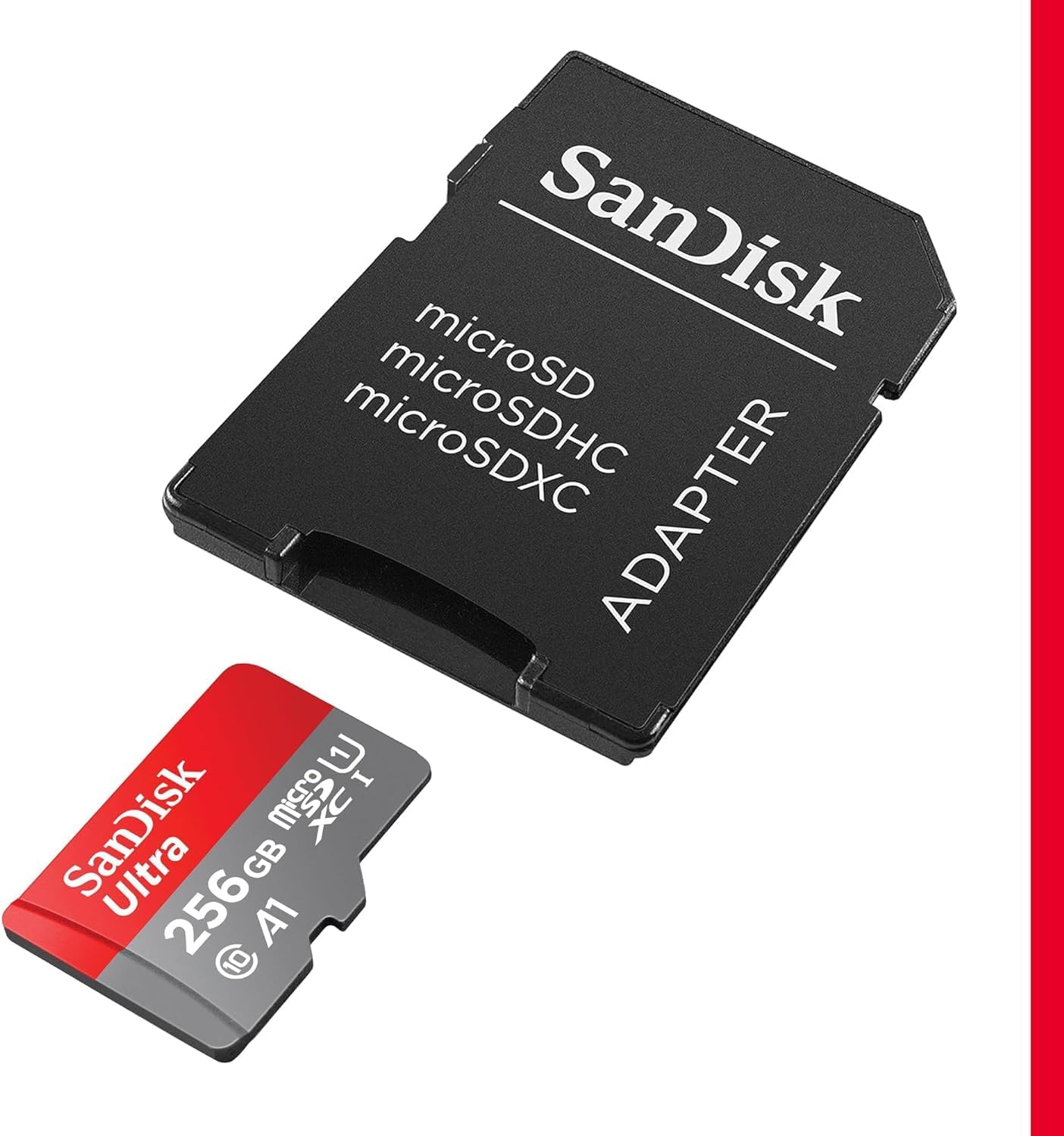 SanDisk 256GB microSD