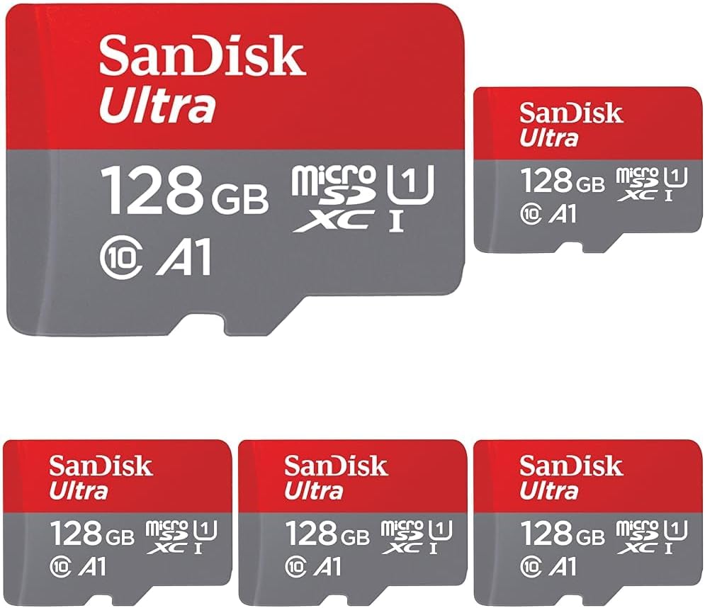 SanDisk 256GB microSD