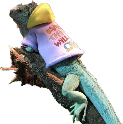 Bearded Dragon Blue Hoodie Outfit