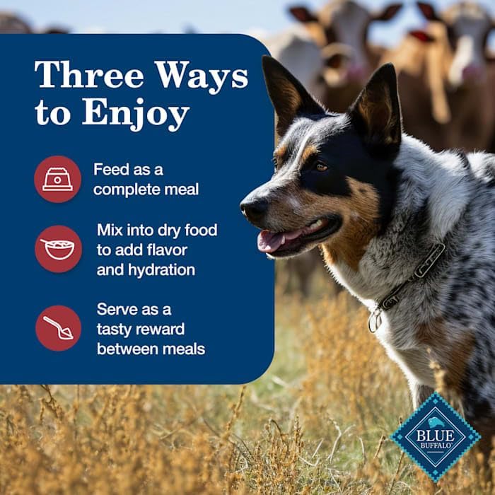 Blue Buffalo Wet Dog Food