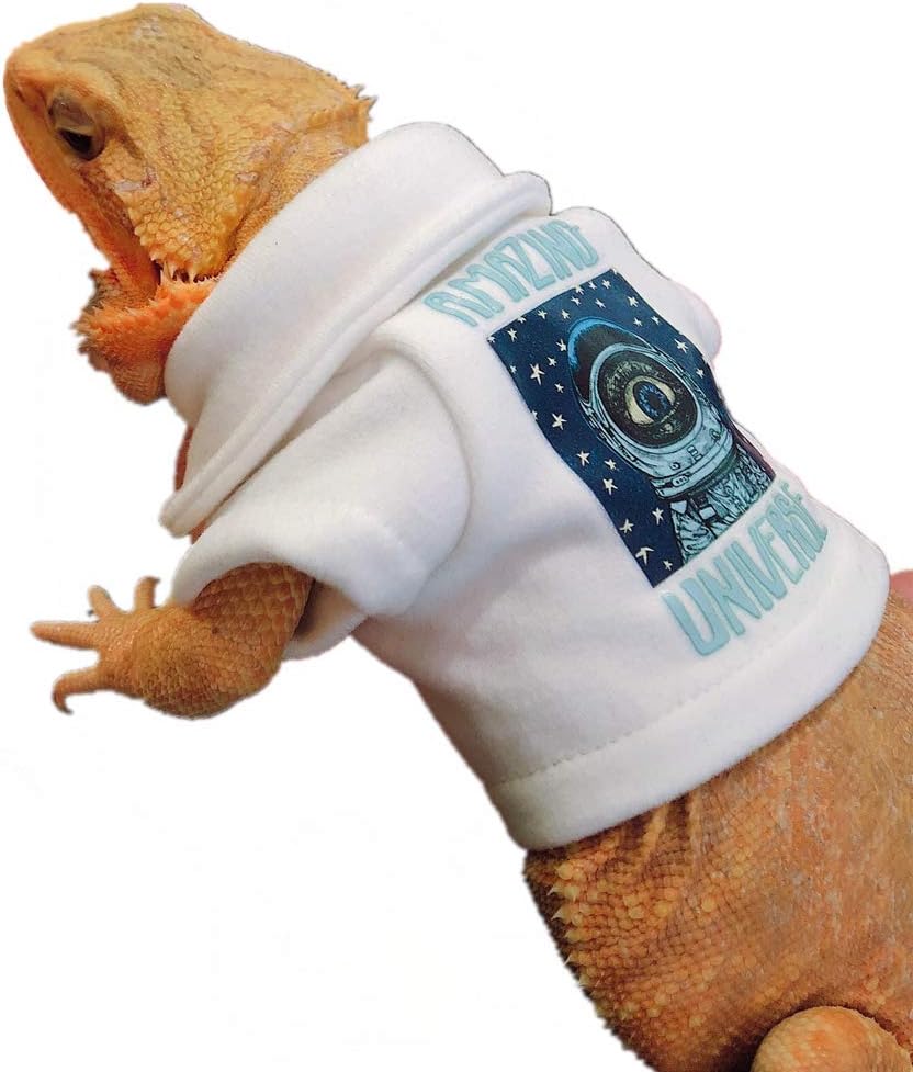 Bearded Dragon Blue Hoodie Outfit
