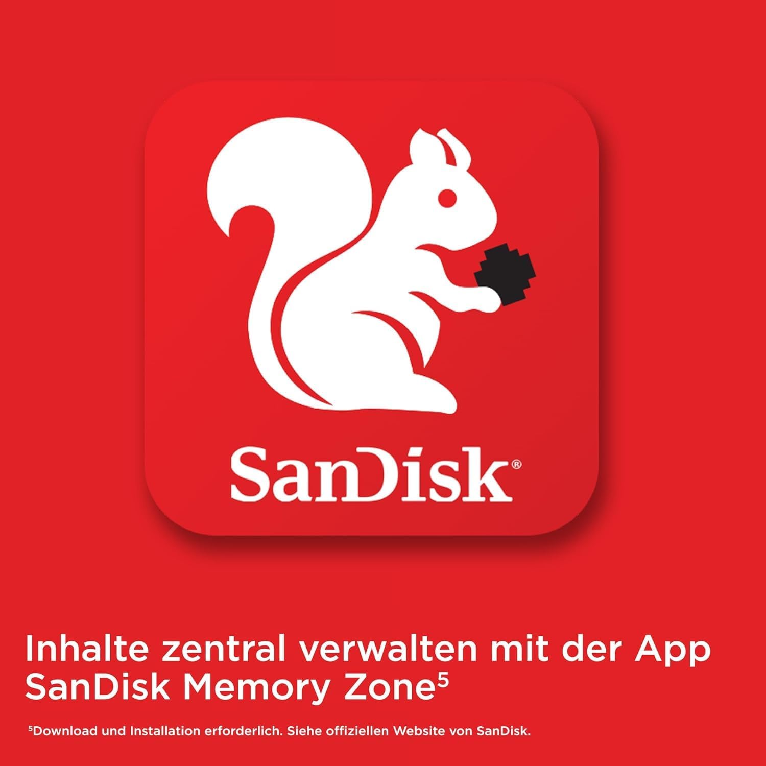 SanDisk 256GB microSD