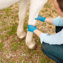 Horse Liniment Gel