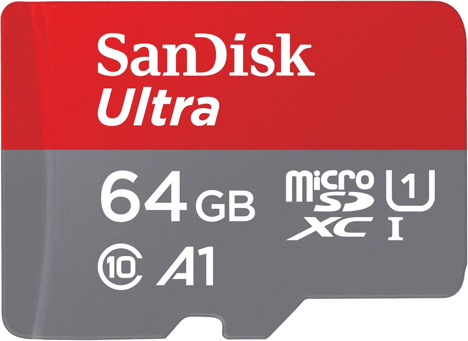 SanDisk 256GB microSD