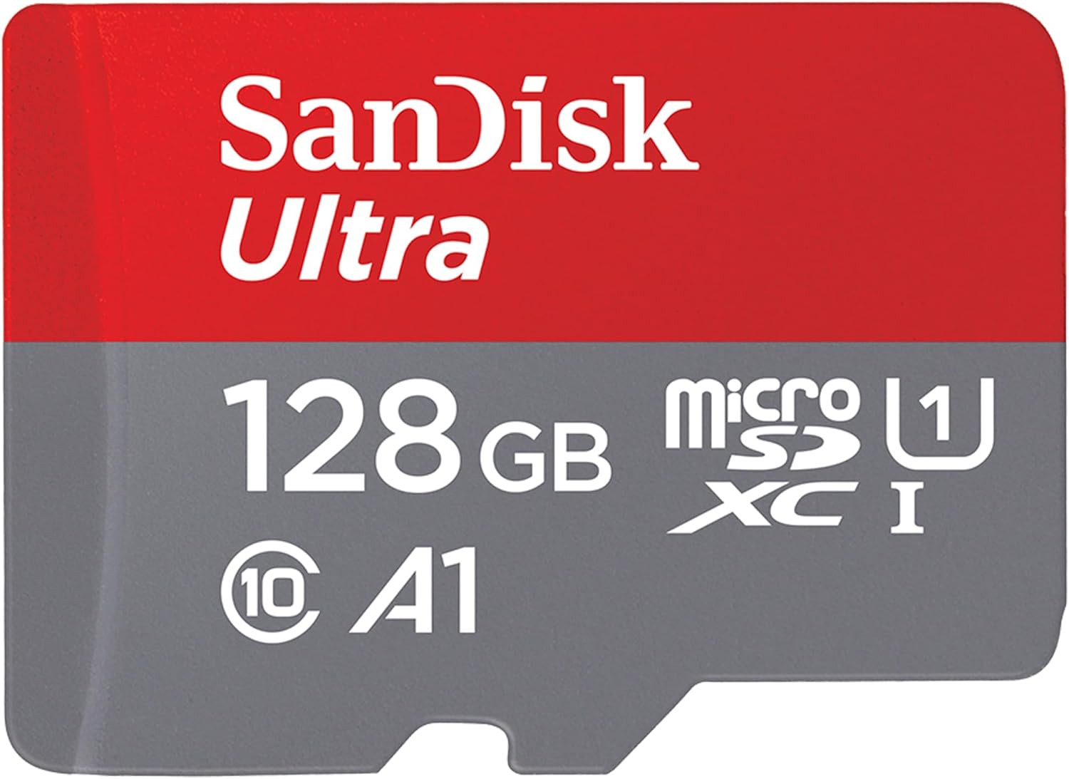 SanDisk 256GB microSD