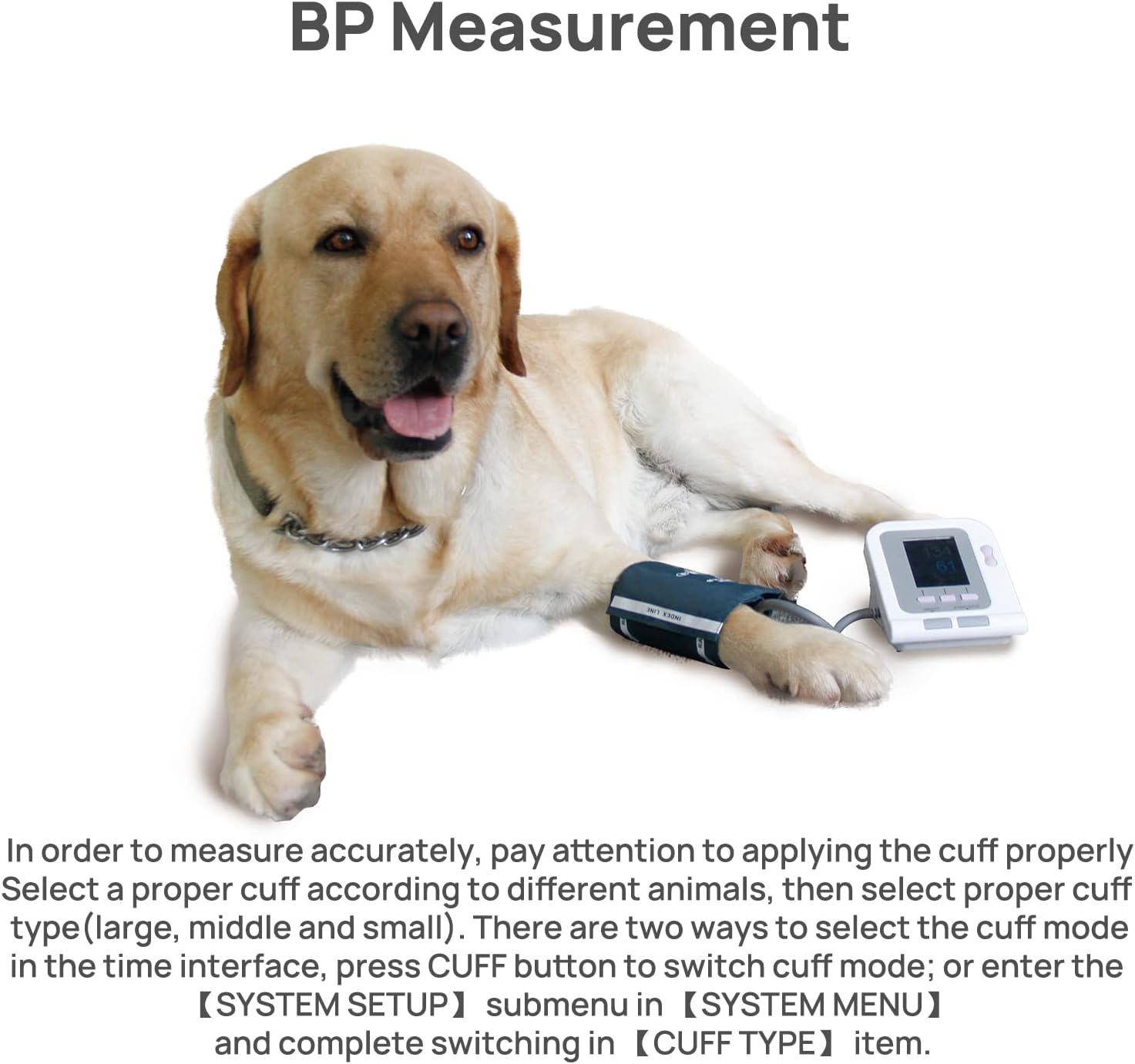 Digital blood pressure monitor for pets

