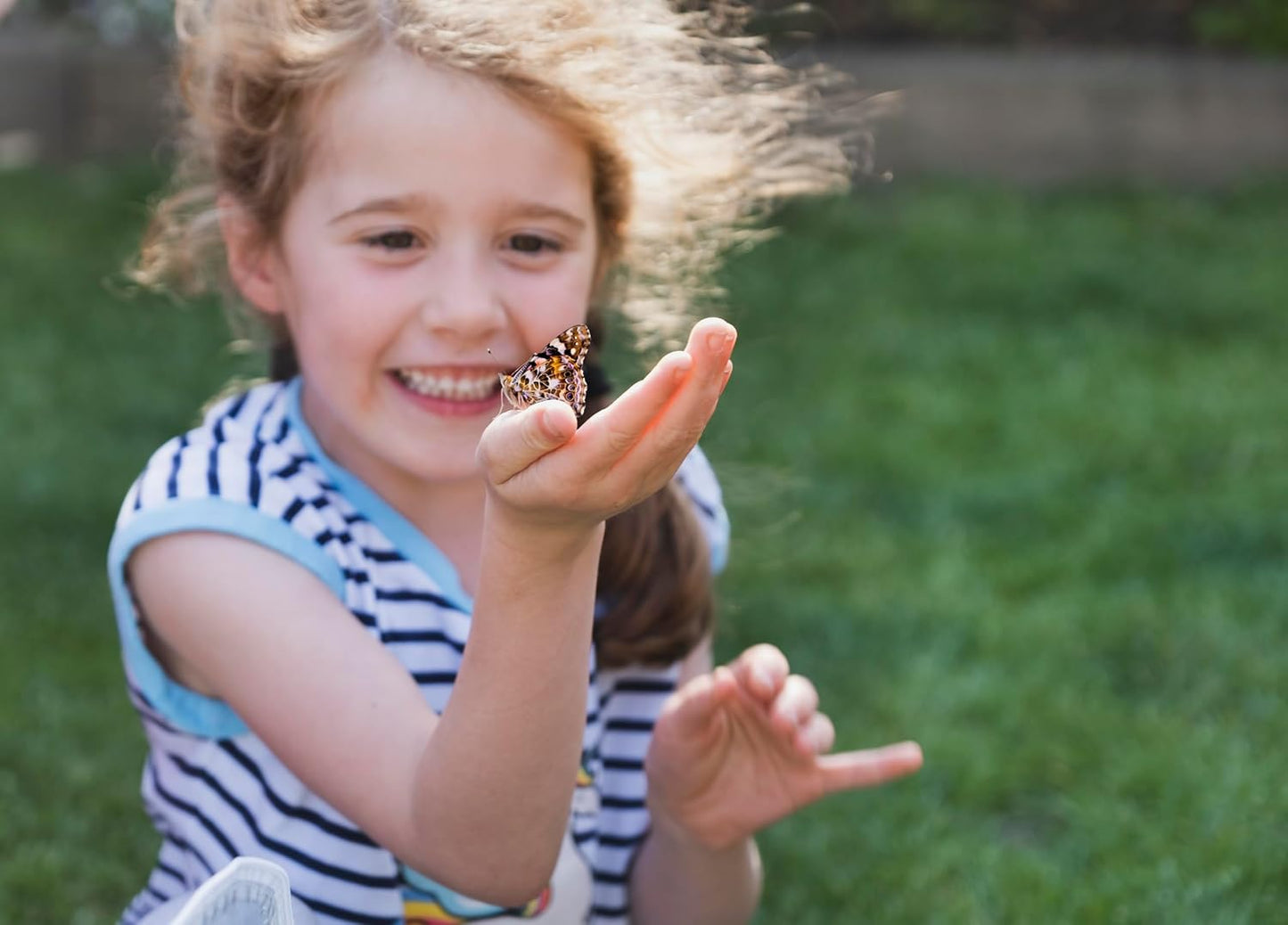 Butterfly garden kit with live caterpillars
