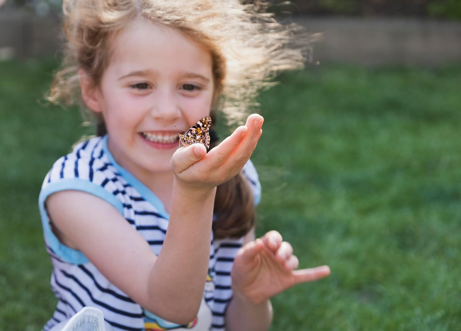 Butterfly garden kit with live caterpillars