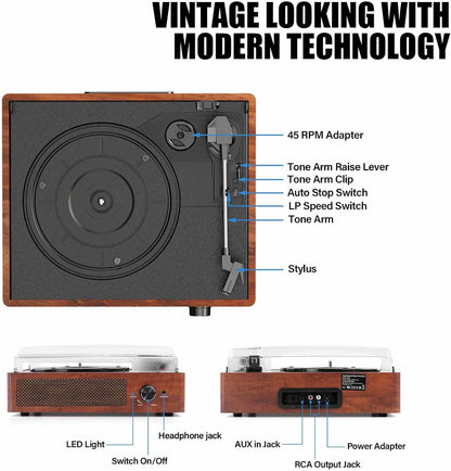 Built-in Speakers