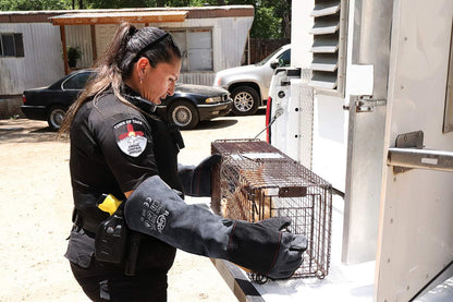 RAPICCA animal handling gloves bite proof