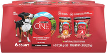 Purina ONE Chicken