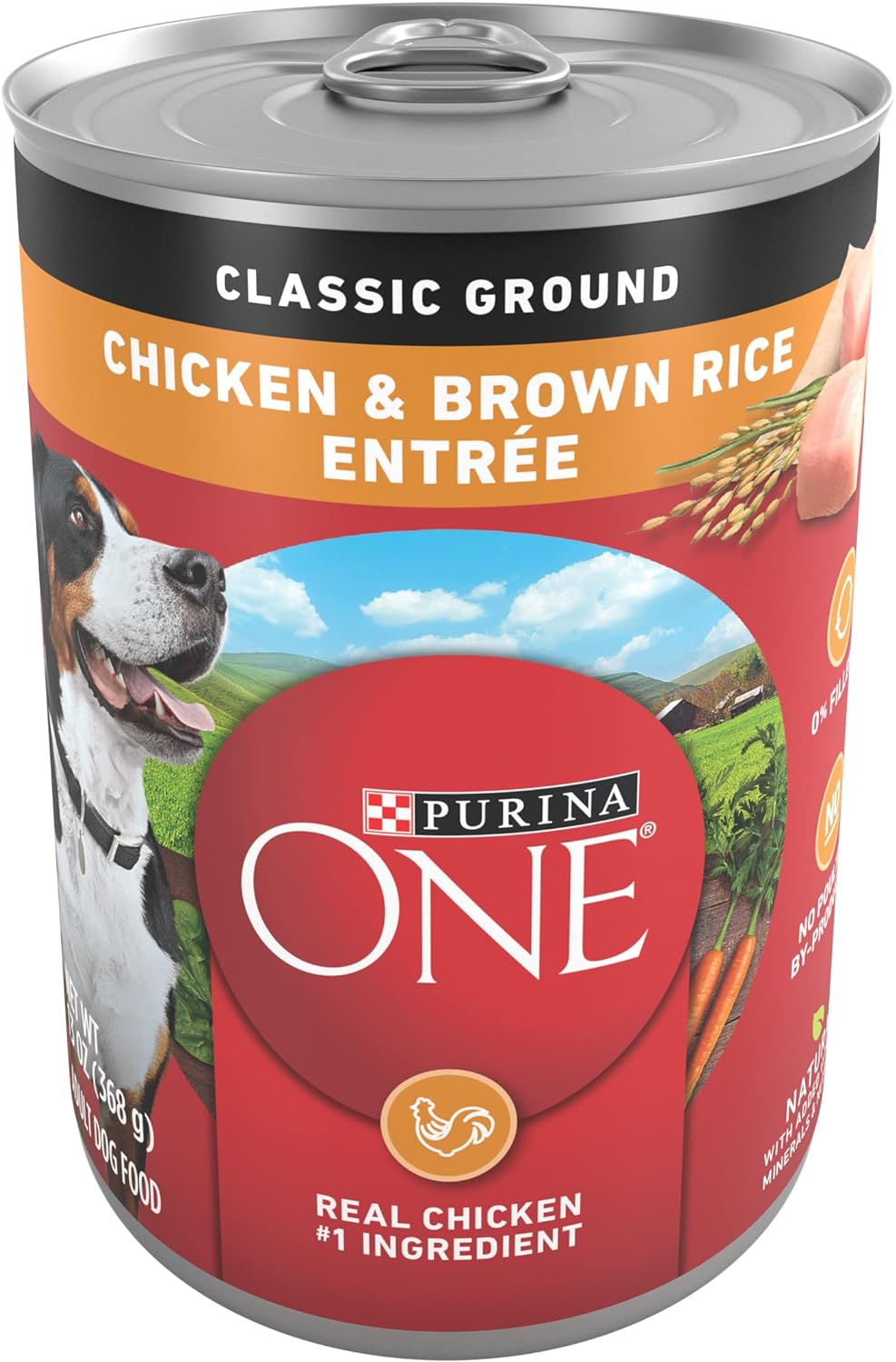Purina ONE Chicken