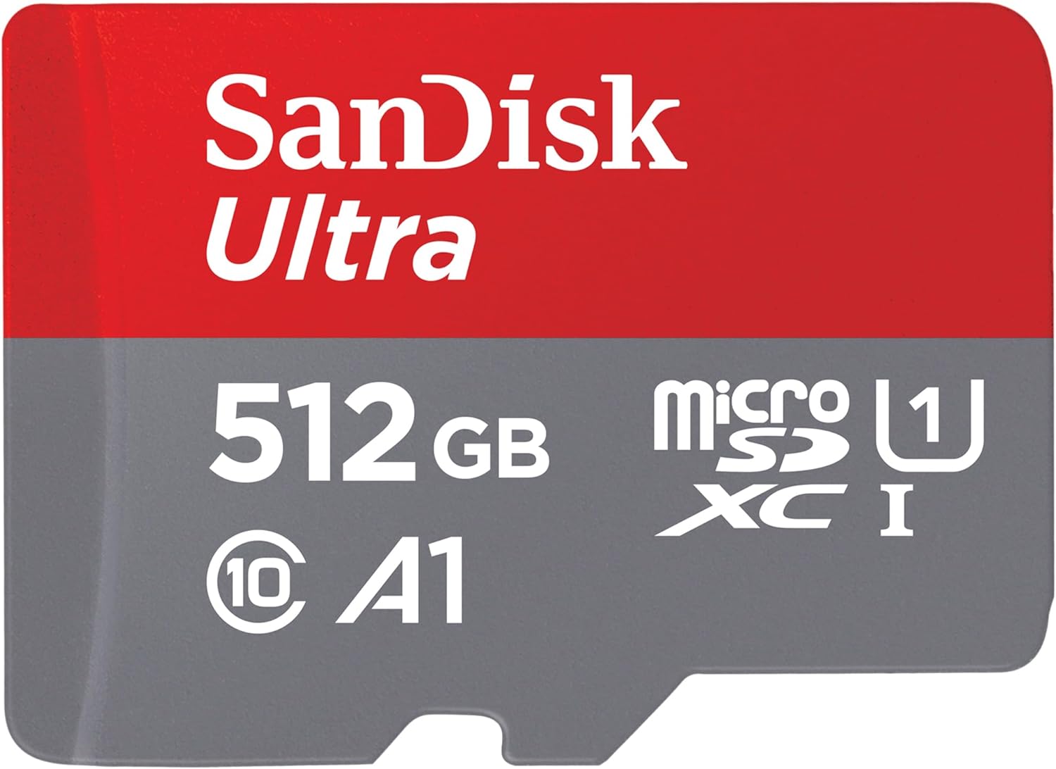 SanDisk 256GB microSD