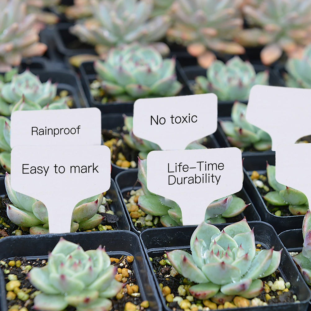 100 pcs PVC Garden Labels White Gardening Plant Sorting Sign Tag Ticket Plastic Writing Plate Board Plug