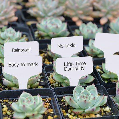100 pcs PVC Garden Labels White Gardening Plant Sorting Sign Tag Ticket Plastic Writing Plate Board Plug