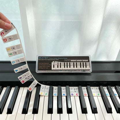 Piano Notes Guide