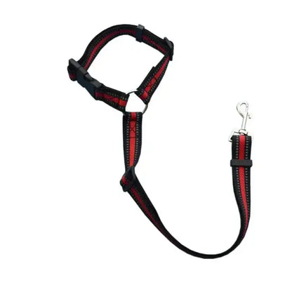 Pawtastic Headrest Safety Belt