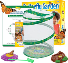 Butterfly garden kit with live caterpillars