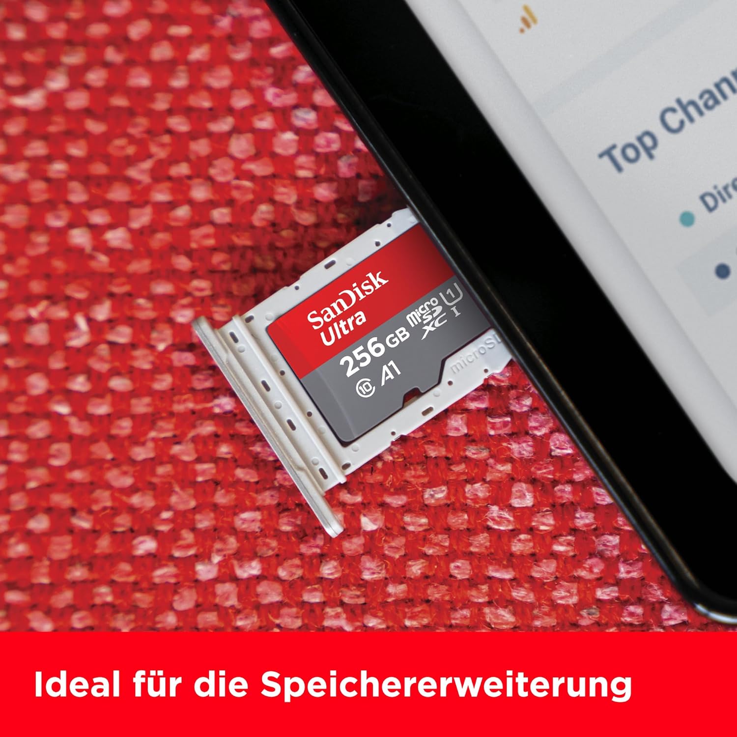 SanDisk 256GB microSD