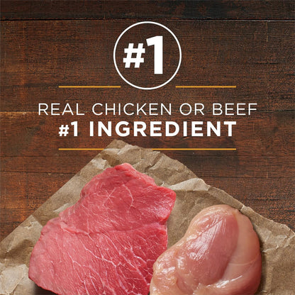 Purina ONE Chicken